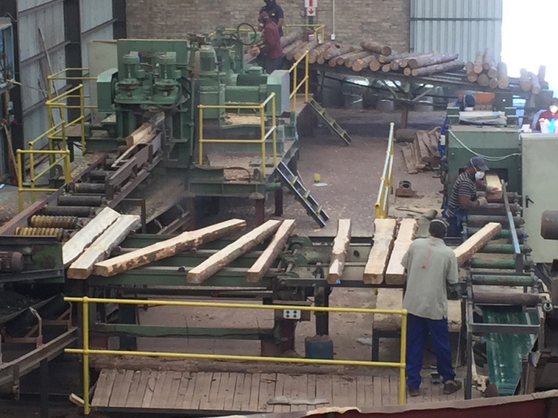Chipper Canter Line
