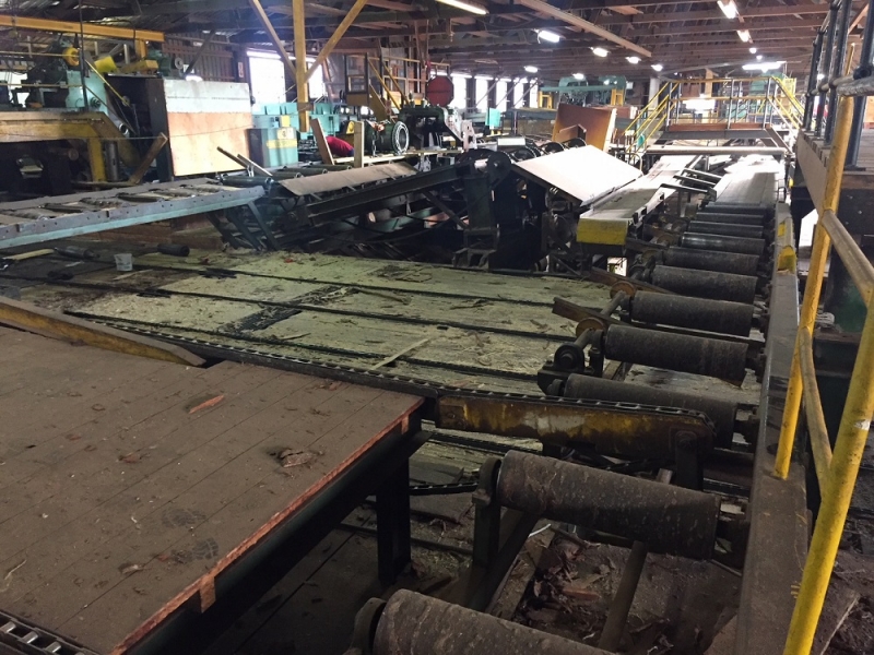 Esterer Opti Edger